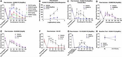 The Alpha Isoform of Heat Shock Protein 90 and the Co-chaperones p23 and Cdc37 Promote Opioid Anti-nociception in the Brain